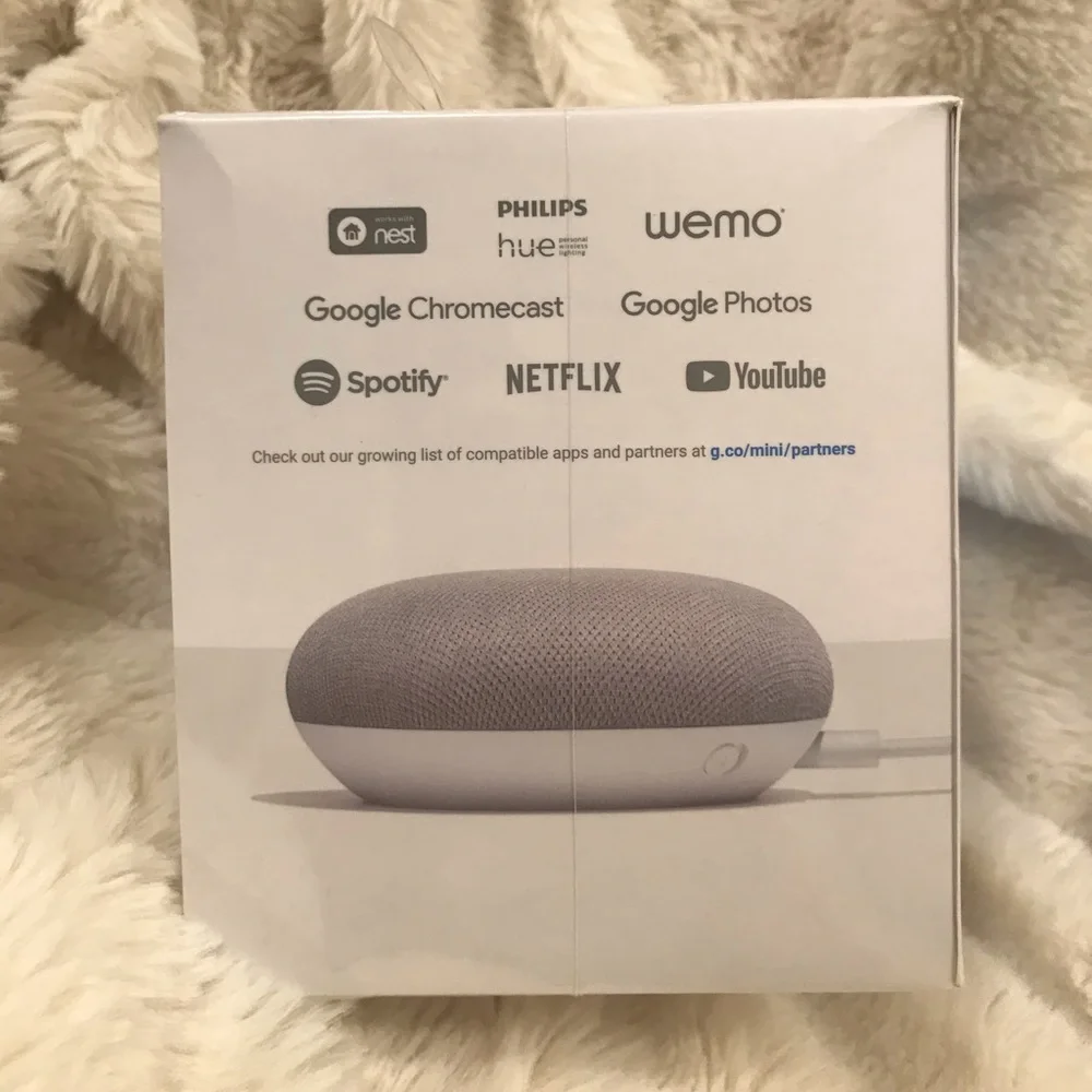 Google Home Mini Assistant